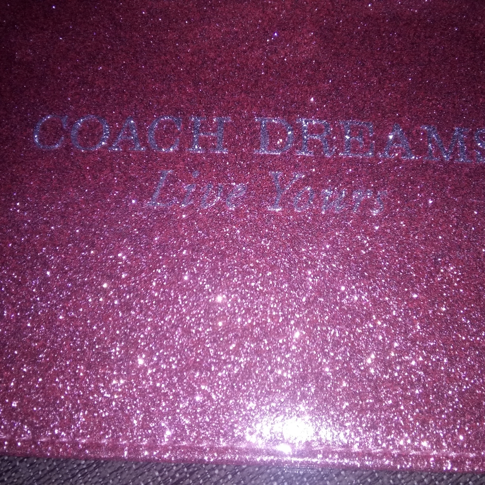 Coach Pouch